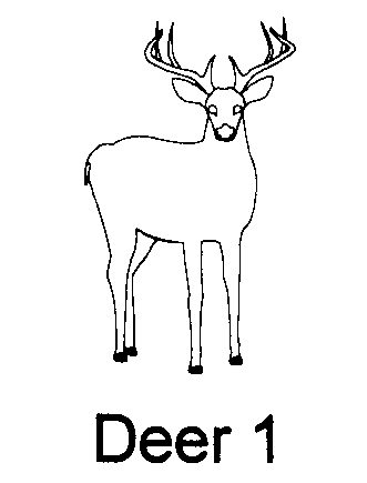deer1.gif (4258 bytes)