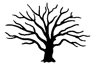 tree2.gif (3148 bytes)