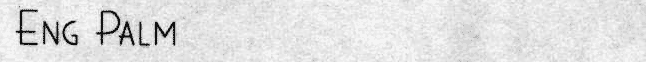 EngPalm.gif (21378 bytes)